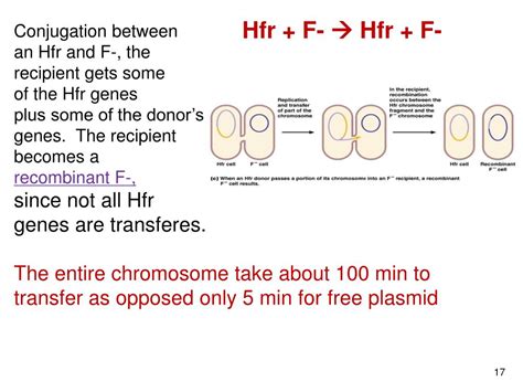 Conjugation result .